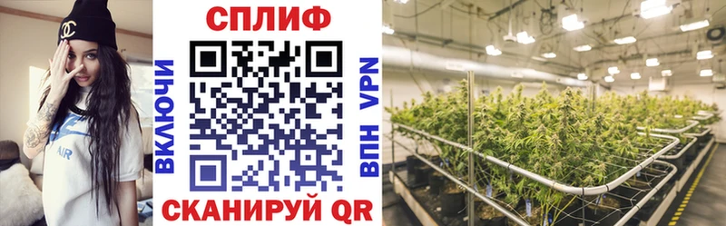 Как найти наркотики Королёв COCAIN  Меф мяу мяу  ГАШИШ  Марихуана 
